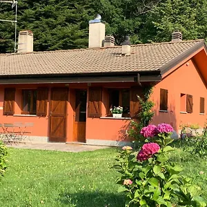 Alma&basili Lenno